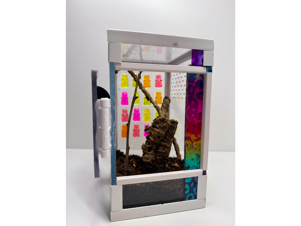 Acrylglasterrarium Terrarium für Springspinnen und andere Wirbellose eingerichtet Einrichtungsbeispiel mit bunten Gummibären aus Epoxidharz