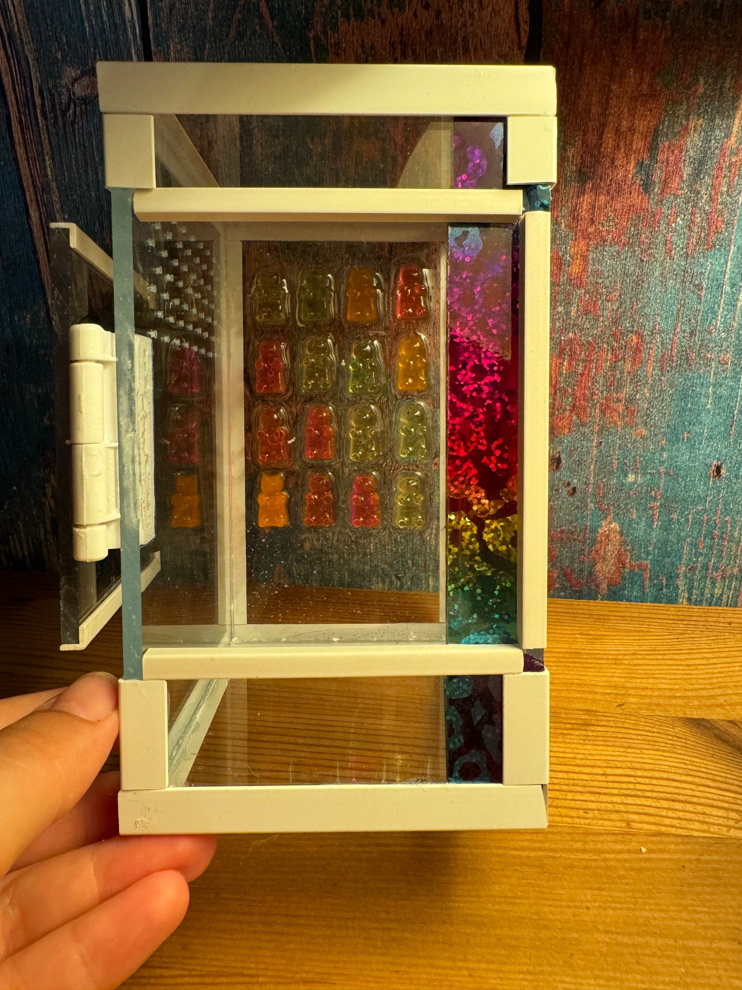 Acrylglasterrarium Terrarium für Springspinnen mit offener Tür und dekorativen Gummibären aus Epoxidharz
