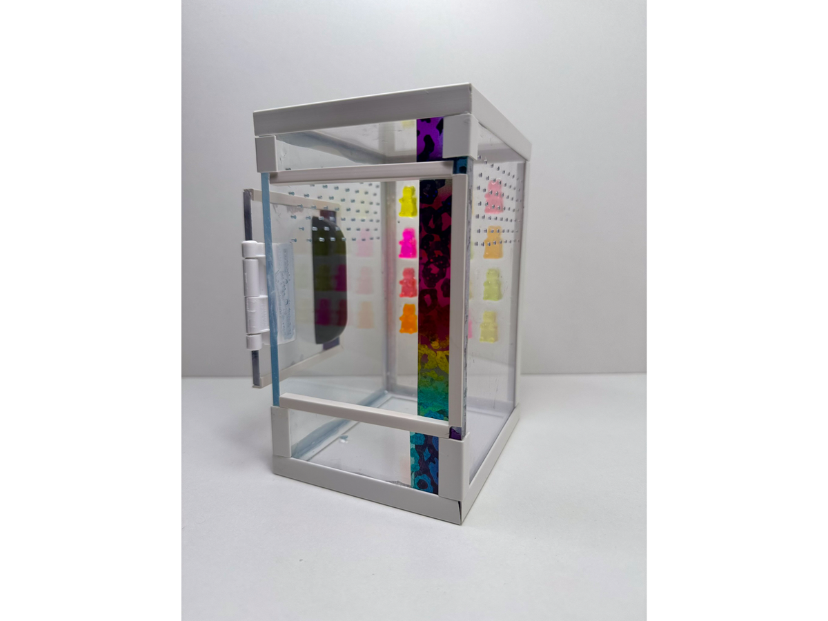 Acrylglasterrarium Terrarium für Springspinnen und andere Wirbellose zur Aufzucht mit bunten Gummibären aus Epoxidharz