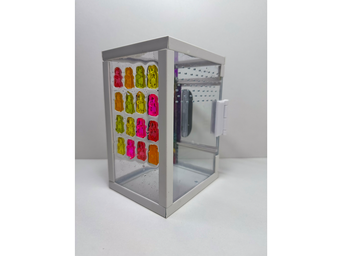 Acrylglasterrarium von hinten mit bunten Gummibären aus Epoxidharz für Springspinnen