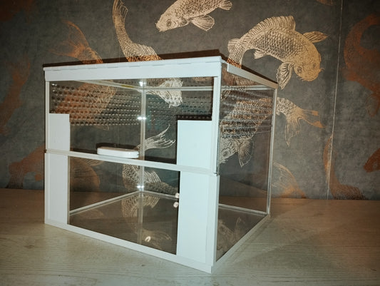 Bodenbewohner Terrarium *Basic M 30x25x25* Classic