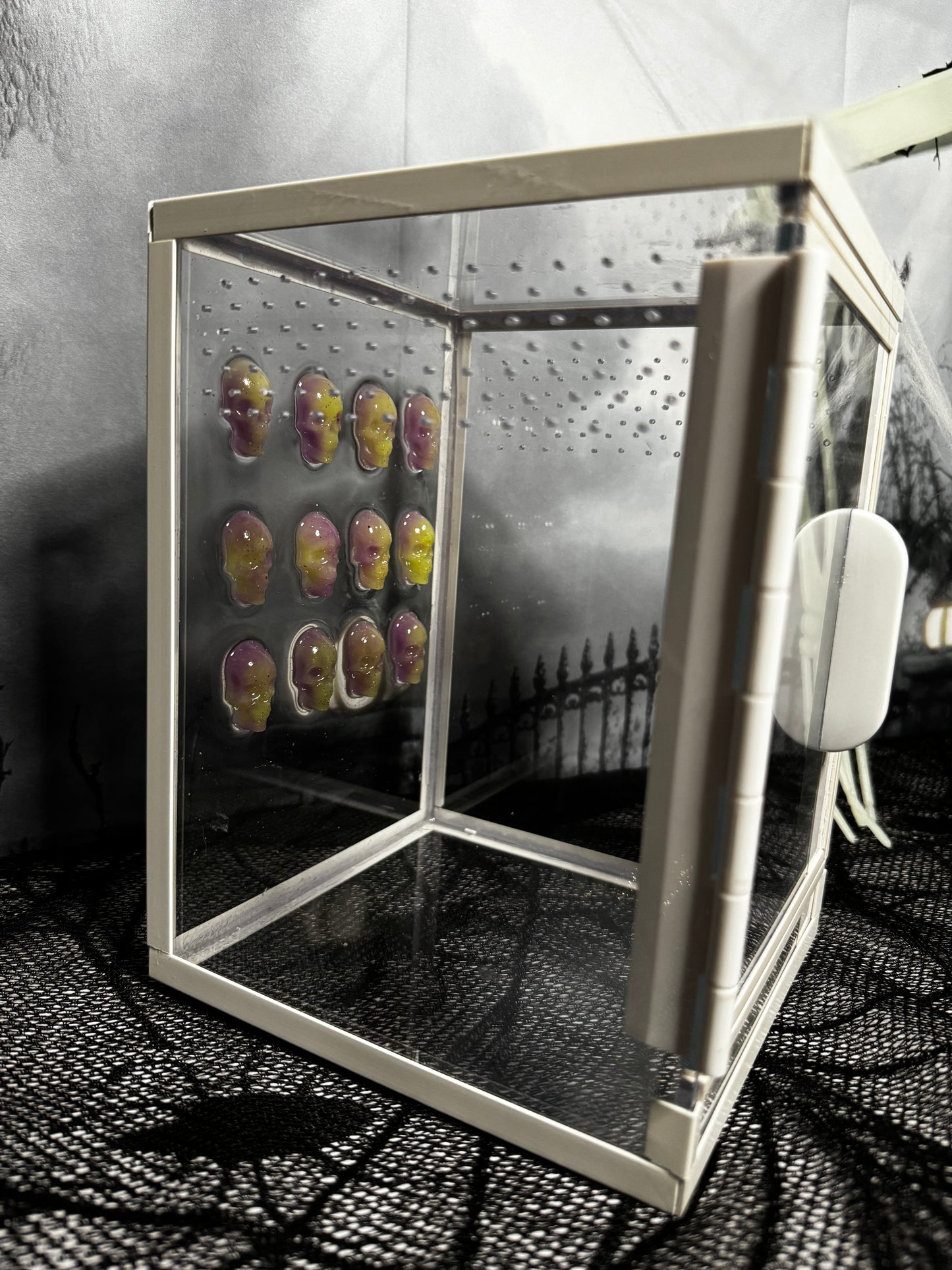 Spooky Season *Trick or Treat Edition*