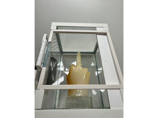 Hochterrarium für junge Springspinnen und baumbewohnende Vogelspinnen mit Figur aus Epoxidharz von unten