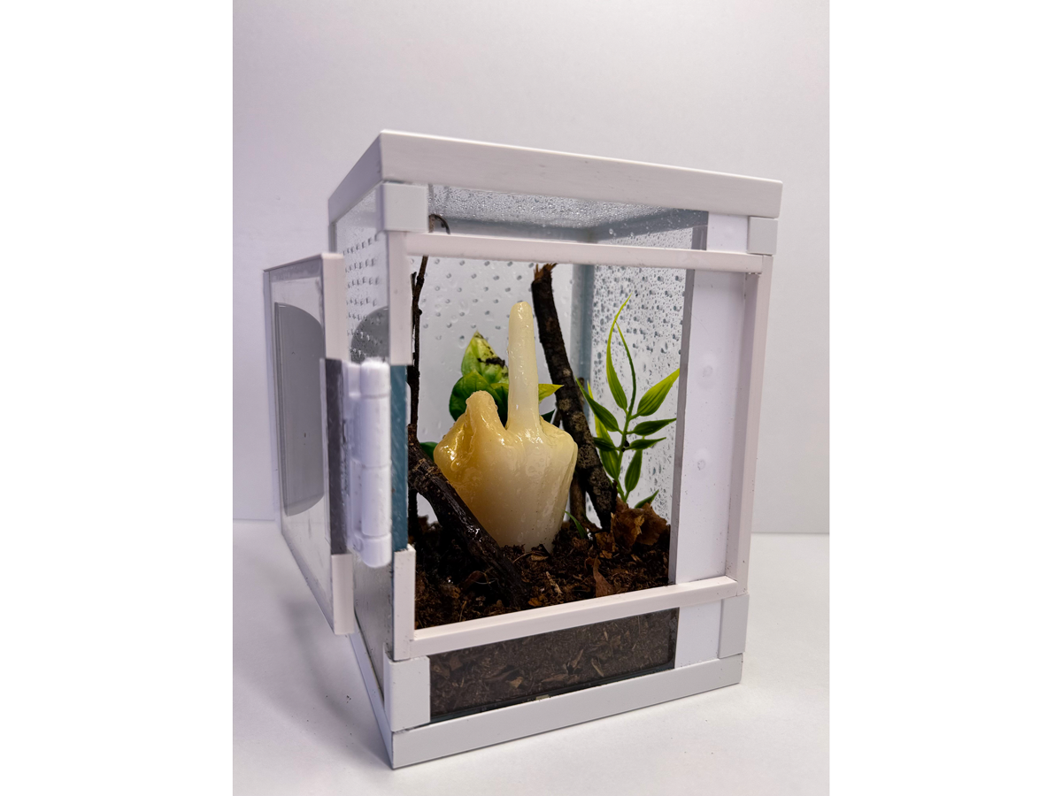Baumbewohner Terrarium Resin Art Tower *Fck off* 10x10x15