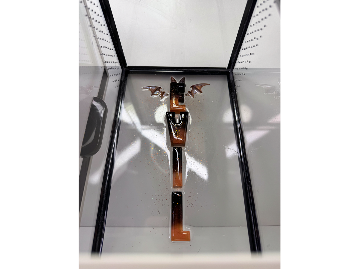 Schriftzug aus Epoxidharz in einem Terrarium für baumbewohnende Spinnen in schwarz und rot mit Flügeln und Hörnchen