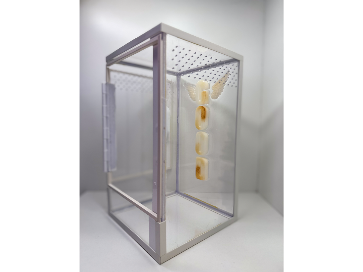Acrylglasterrarium für baumbewohnende Vogelspinnen und Springspinnen mit weissem Rahmen und Schriftzug aus Epoxidharz von der Seite