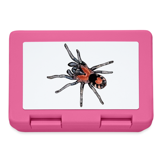 Lunchbox Cyriocosmus elegans - Pink