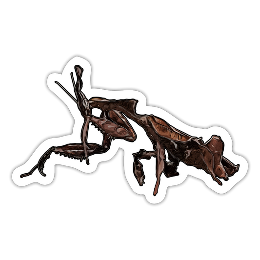 Sticker Phyllocrania paradoxa 2 - Mattweiß