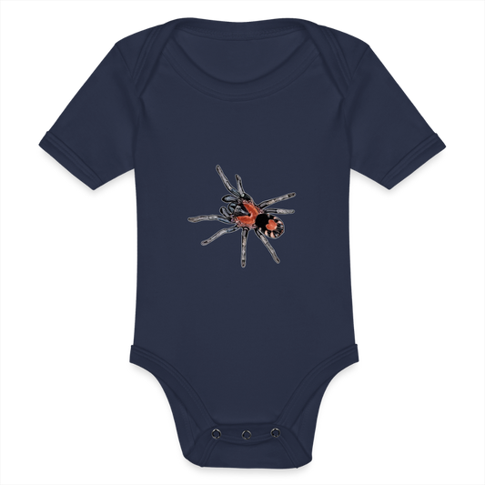 Baby Body kurz Cyriocosmus elegans - Dunkelnavy