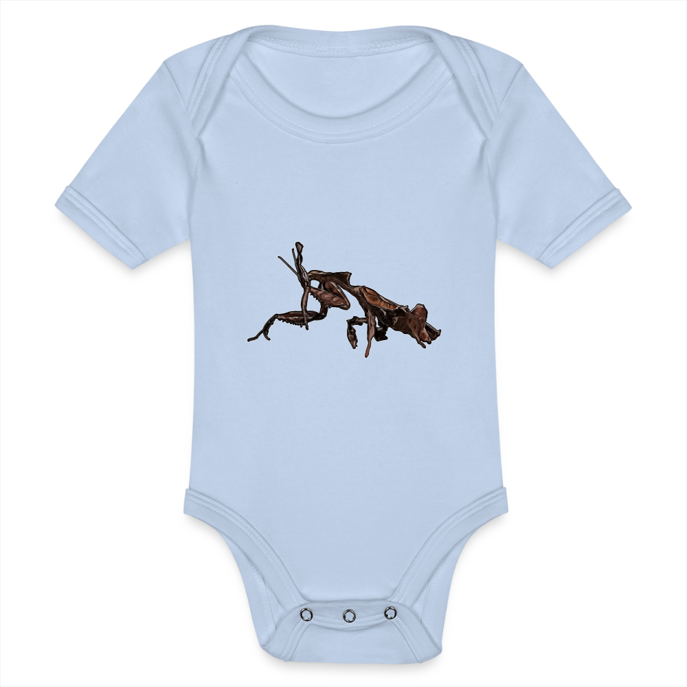 Baby Body kurz Phyllocrania paradoxa female 2 - Sky