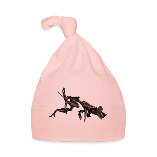 Baby Mützchen Phyllocrania paradoxa female 2 - Rosa