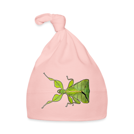 Baby Mützchen Phyllium philippinicum female - Rosa