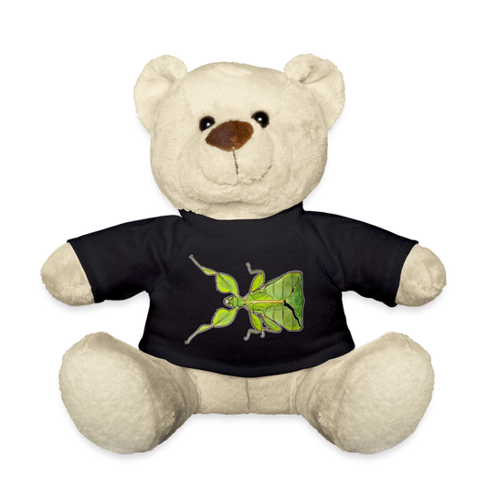 Teddy Phyllium philippinicum female - Schwarz