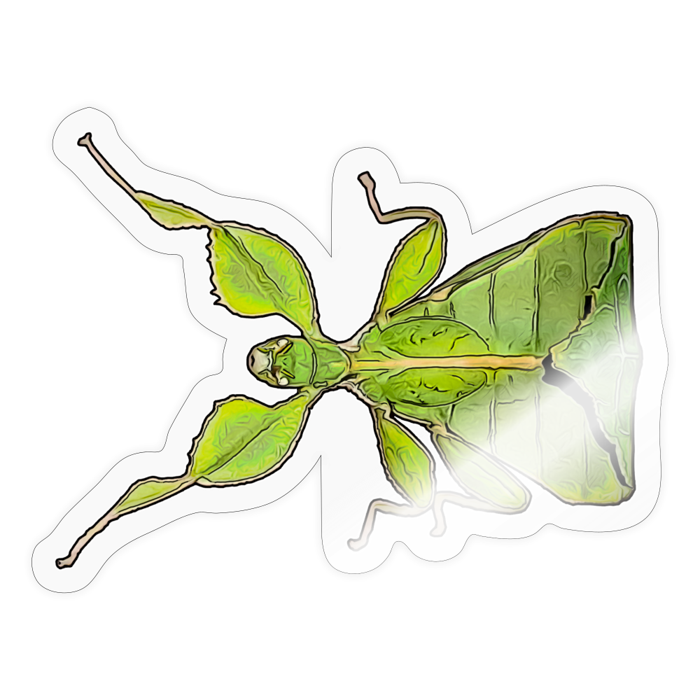 Sticker Phyllium philippinicum female - Transparent glänzend