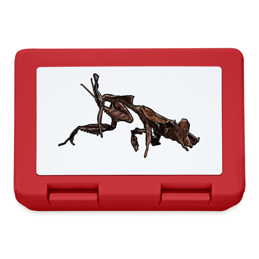 Lunchbox Phyllocrania paradoxa female 2 - Rot