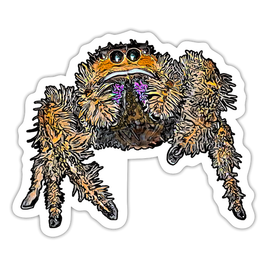 Sticker Phidippus regius Everglades female - Mattweiß