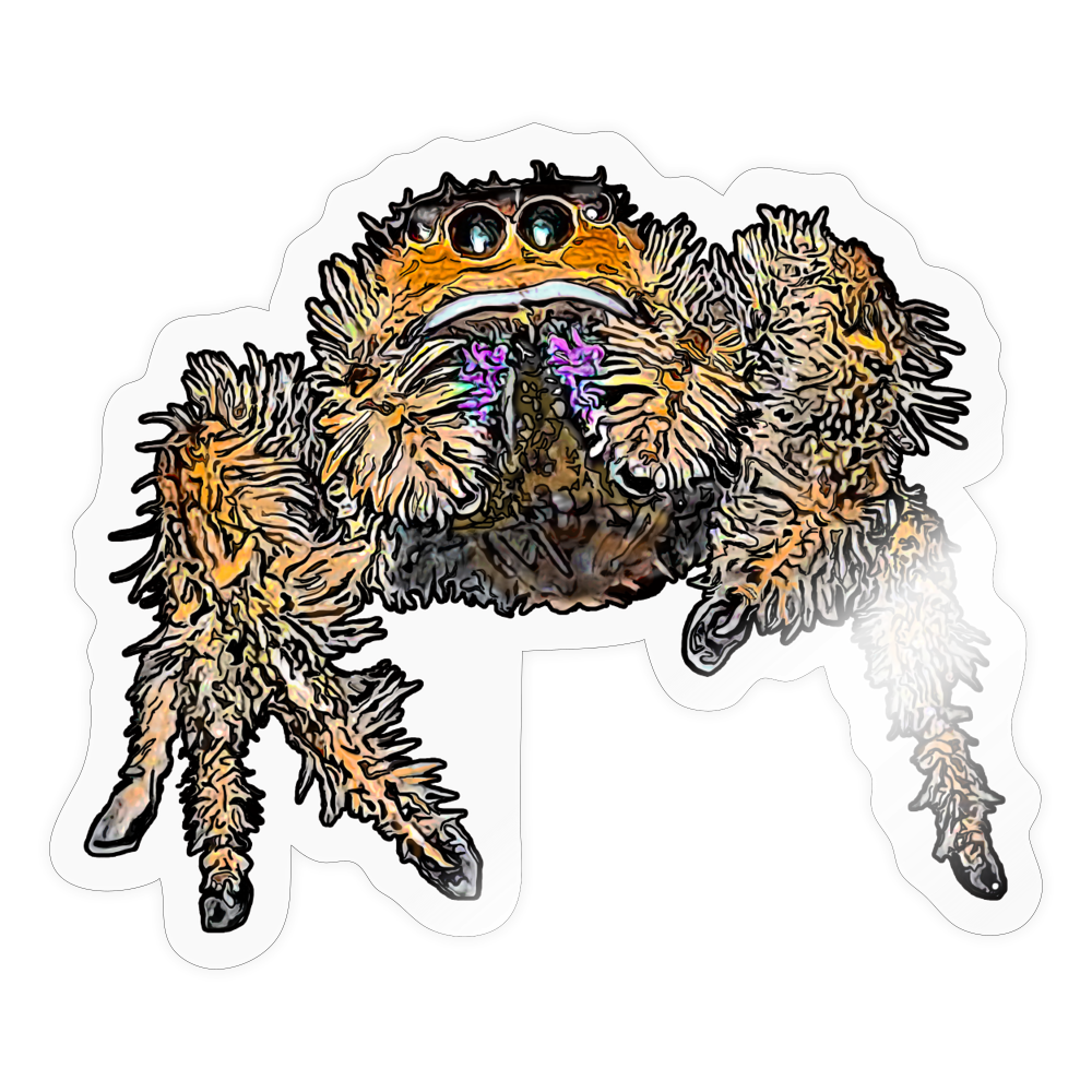 Sticker Phidippus regius Everglades female - Transparent glänzend