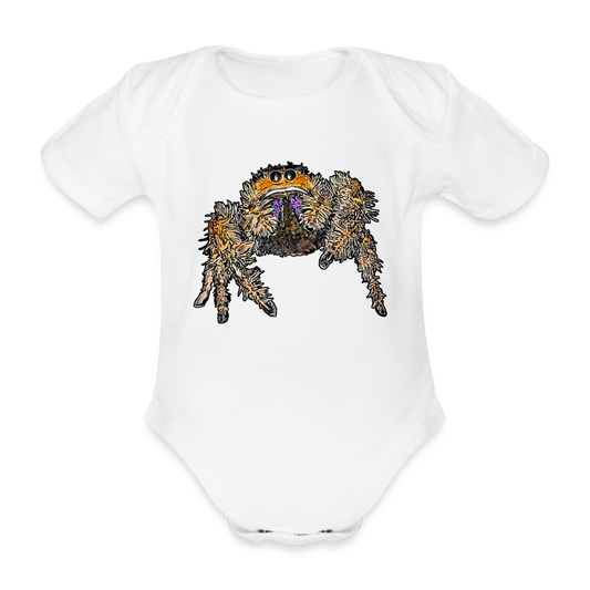 Baby Body kurz Phidippus regius Everglades female - weiß