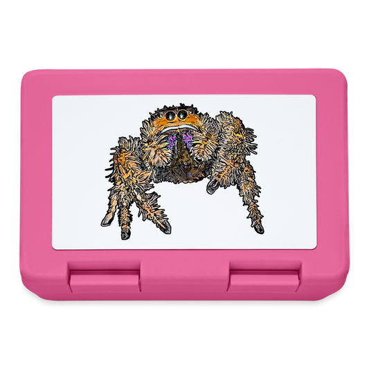 Lunchbox Phidippus regius Everglades female - Pink