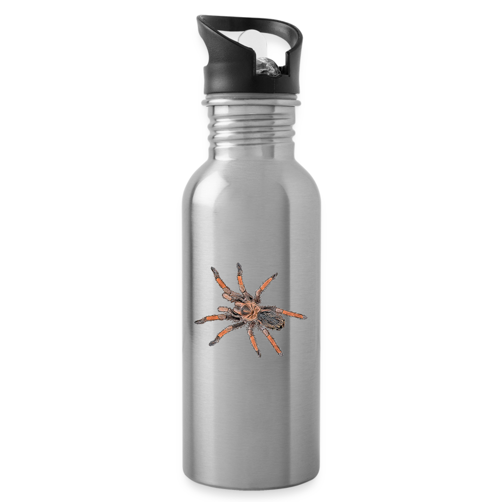 Trinkflasche Brachypelma emilia - Lightsilver