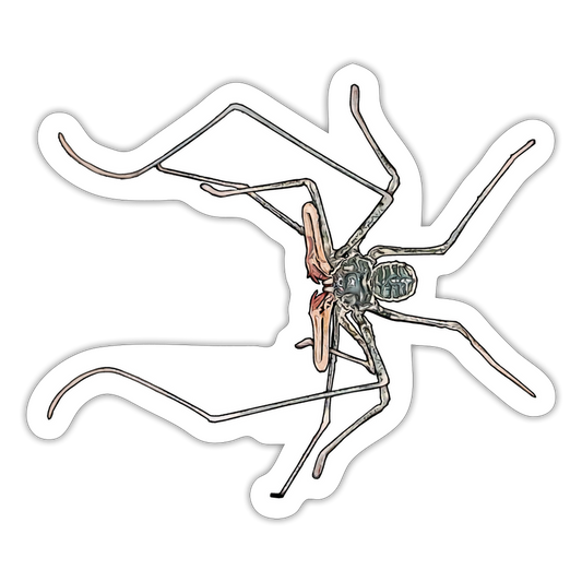 Sticker Euphrynichus bacillifer - Mattweiß