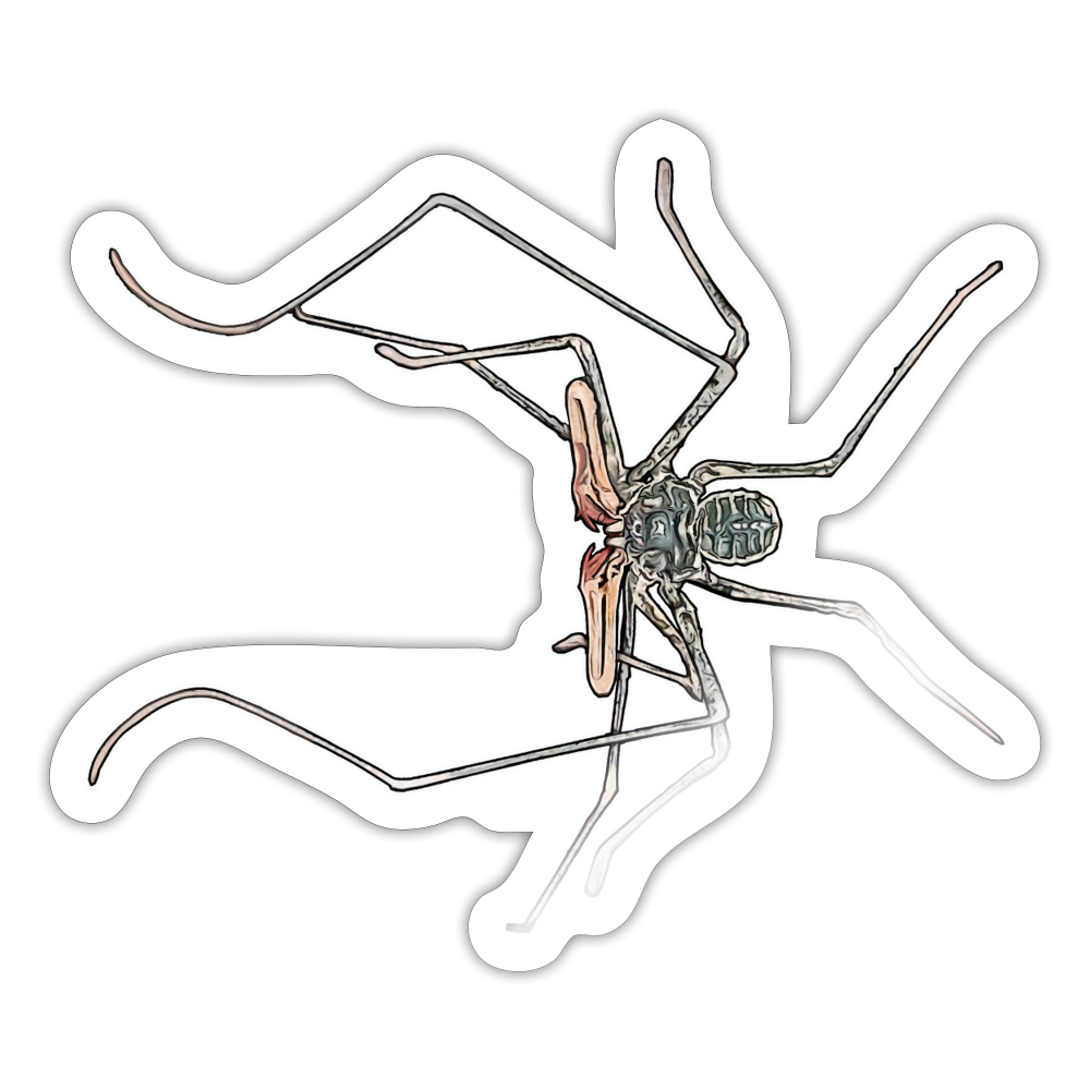 Sticker Euphrynichus bacillifer - Weiß glänzend