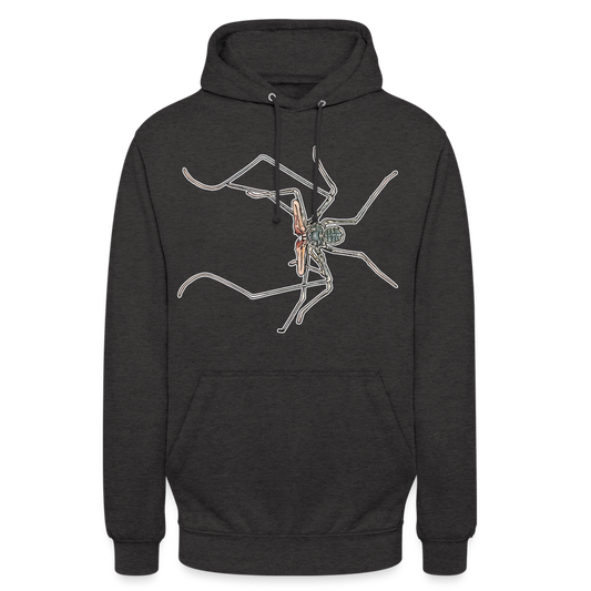 Unisex Hoodie Euphrynichus bacillifer - Anthrazit