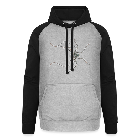 Unisex Baseball Hoodie Euphrynichus bacillifer - Grau meliert/Schwarz
