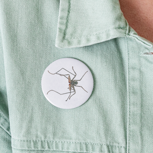 Buttons groß 56 mm (5er Pack) Euphrynichus bacillifer - weiß