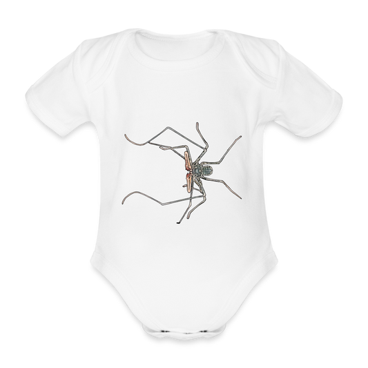 Baby Body kurz Euphrynichus bacillifer - weiß