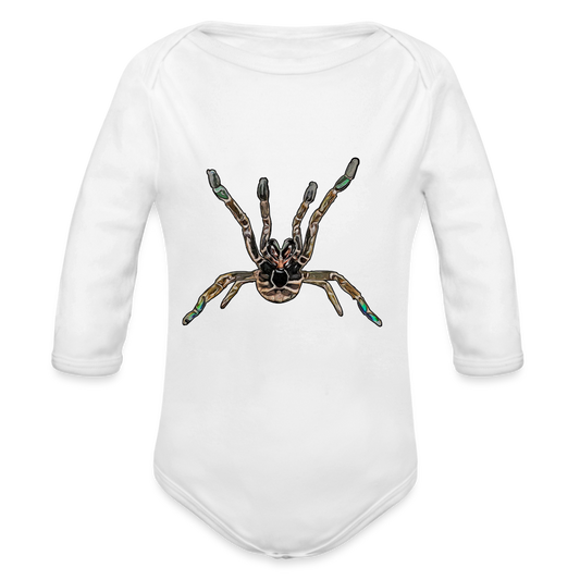 Baby Body lang Pterinochilus murinus tcf - weiß