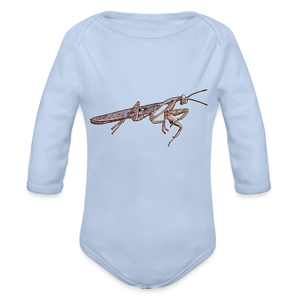 Baby Body lang Rhombodera kirbyi male - Sky