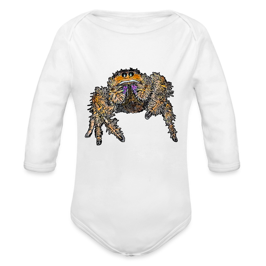 Baby Body lang Phidippus regius Everglades female - weiß