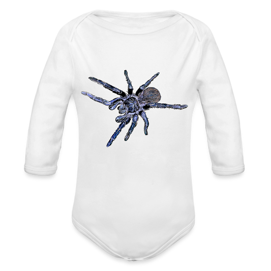 Baby Body lang Pterinopelma sazimai - weiß