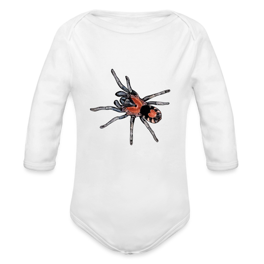 Baby Body lang Cyriocosmus elegans - weiß