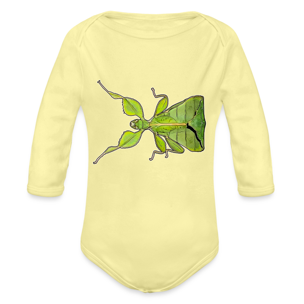 Baby Body lang Phyllium philippinicum female - Hellgelb