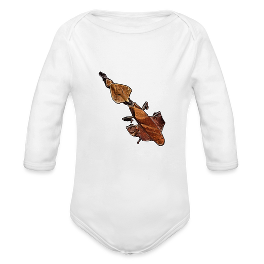 Baby Body lang Phyllocrania paradoxa female - weiß