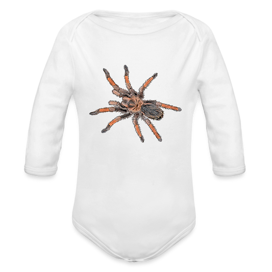 Baby Body lang Brachypelma emilia - weiß
