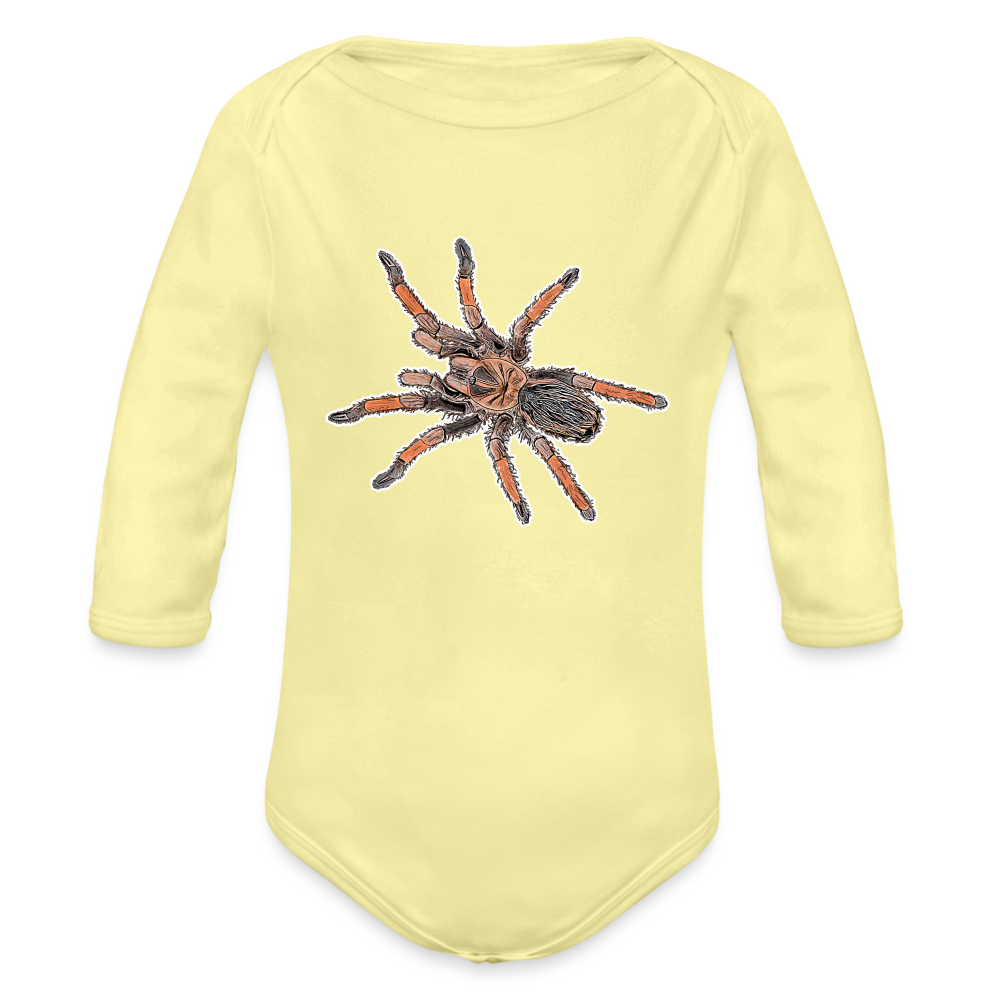 Baby Body lang Brachypelma emilia - Hellgelb