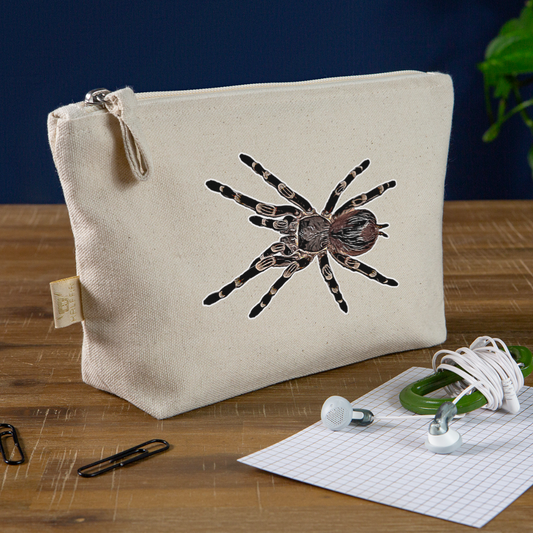 Täschchen Acanthoscurria geniculata - Natur