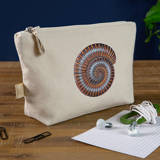 Täschchen Archispirostreptus gigas - Natur