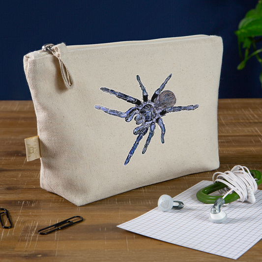 Täschchen Pterinopelma sazimai - Natur