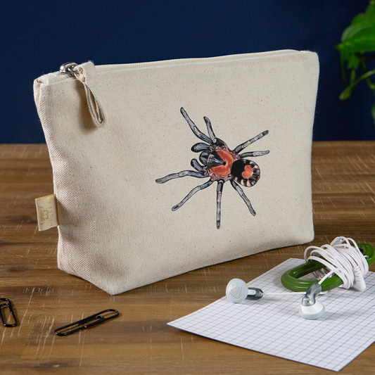 Täschchen Cyriocosmus elegans - Natur