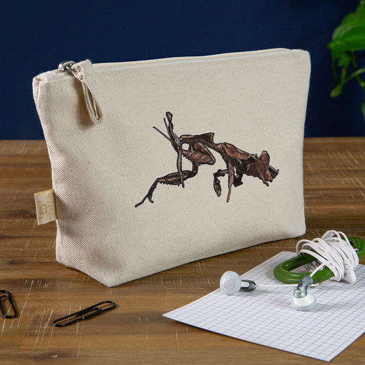 Täschchen Phyllocrania paradoxa female 2 - Natur