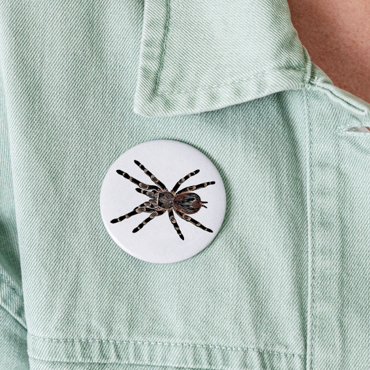 Buttons groß 56 mm (5er Pack) Acanthoscurria geniculata - weiß