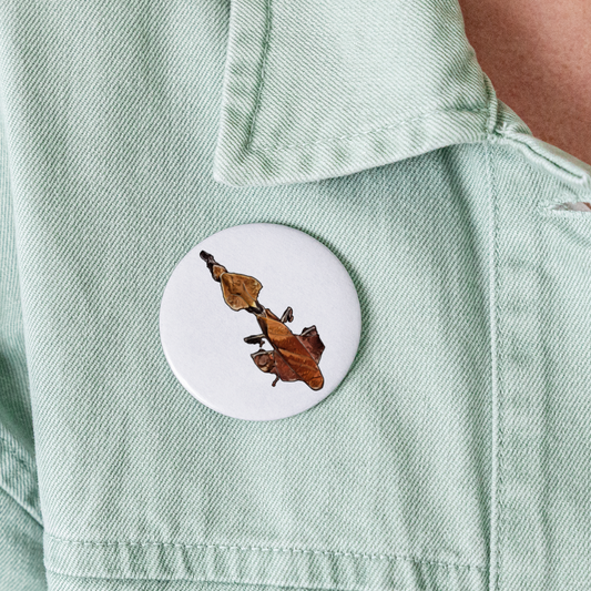 Buttons groß 56 mm (5er Pack) Phyllocrania paradoxa female - weiß