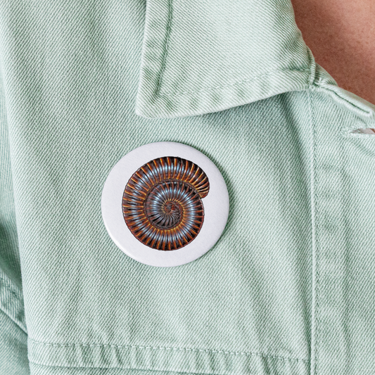 Buttons groß 56 mm (5er Pack) Archispirostreptus gigas - weiß