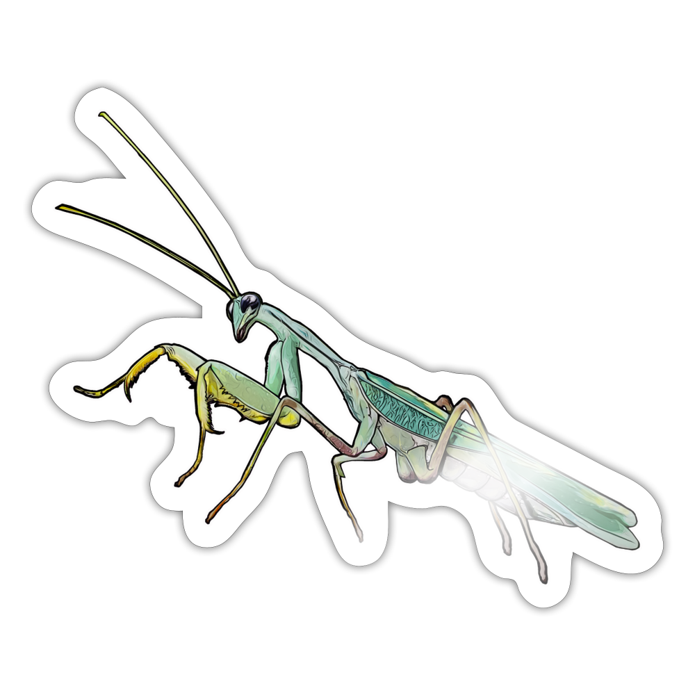 Sticker Sphodromantis lineola male - Weiß glänzend