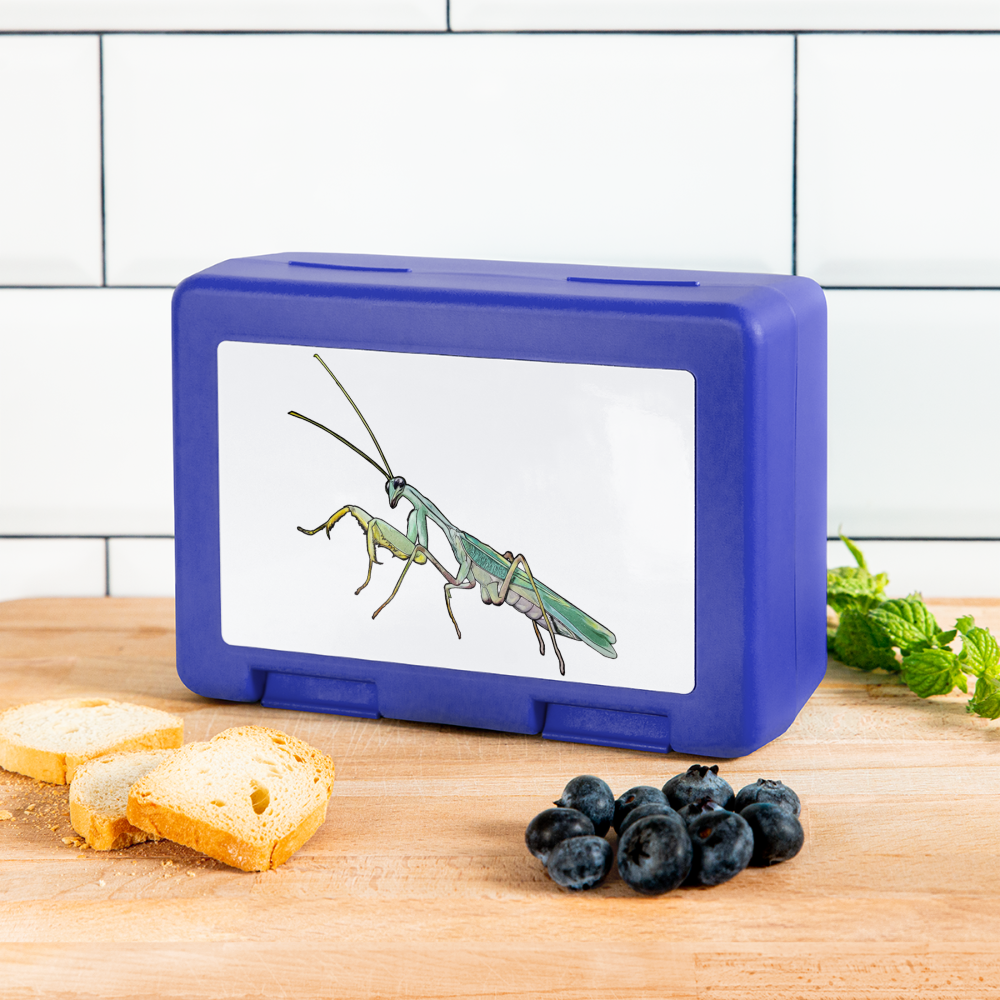 Lunchbox Sphodromantis lineola male - Royalblau