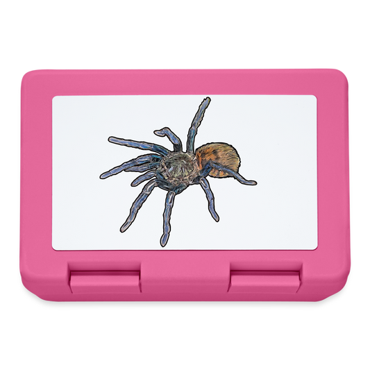 Lunchbox Chromatopelma cyaneopubescens - Pink